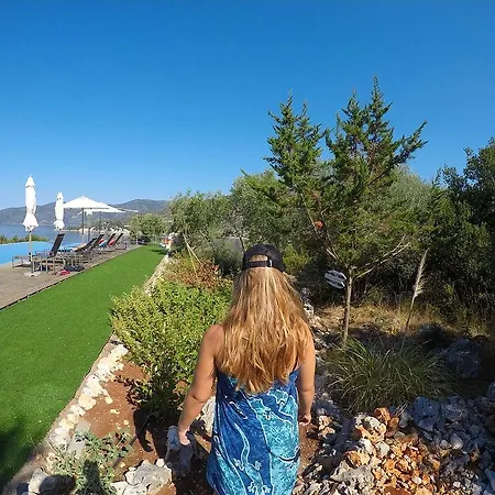 Del Mar Ξενοδοχείο Βασιλική